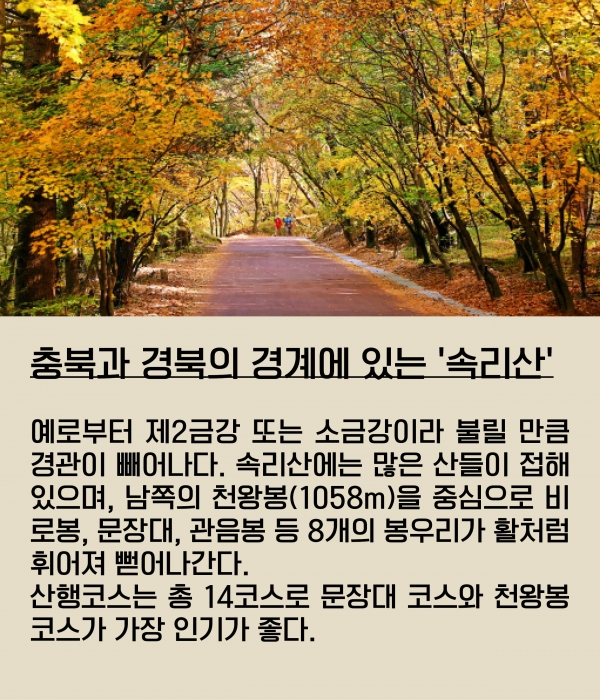 [카드뉴스] 가기 좋고 보기 좋은 '가을 산행지 추천'