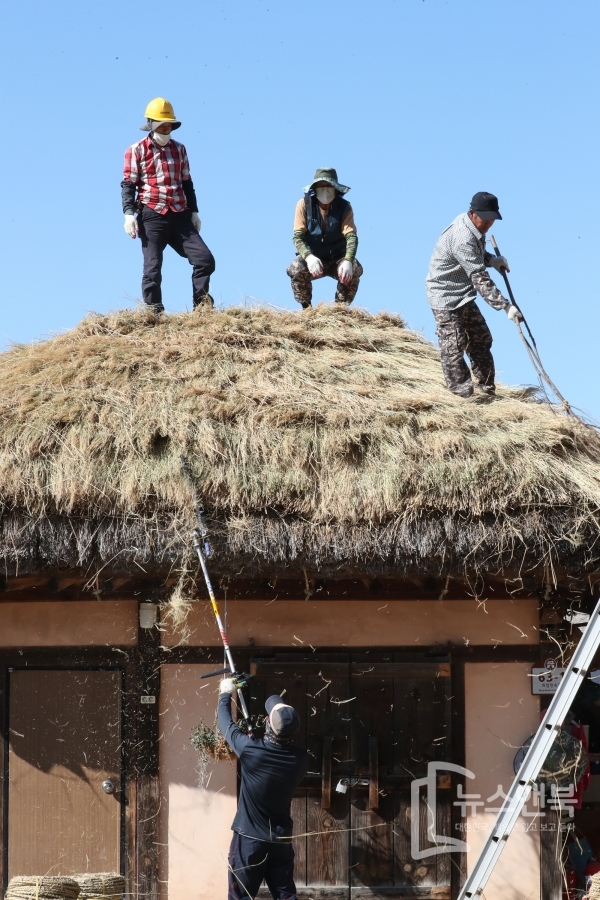 충남 아산시 외암마을에서 주민들이 새로운 이엉을 초가지붕에 교체하느라 분주한 모습을 보이고 있다. 