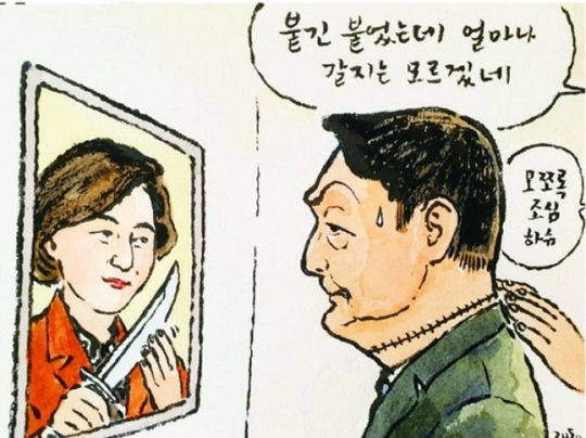 박재동 화백의 만평 (출처=경기신문)