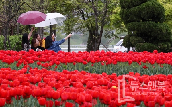 완연한 봄날씨가 이어지고 있는 가운데 휴일인 25일 대전 유성구 유림공원에서 여성들이 형형색색 만개한 튤립을 배경삼아 기념촬영을 하며 추억을 남기고 있다. 전우용 기자