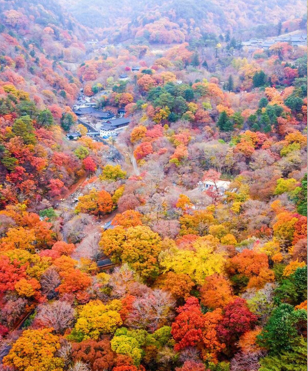 합천 가야산국립공원, 2023년 단풍절정시기 전국지도 (사진출처=한국관광공사)