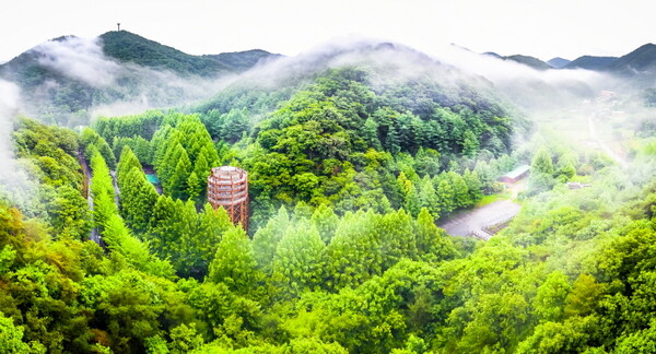 대전 장태산자연휴양림 (사진출처=한국관광공사)