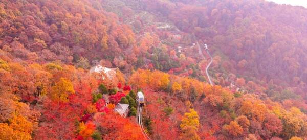 2023 단풍절정시기 전국 가볼만한 단풍여행지 경기도 광주 화담숲 (사진출처=한국관광공사)