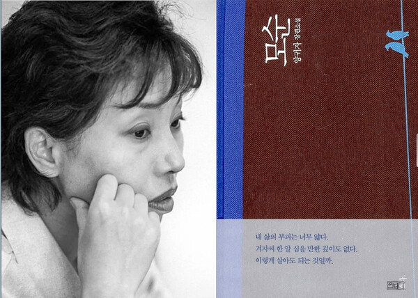[서점 가는길] 양귀자 ‘모순’ 26년을 돌아 베스트셀러